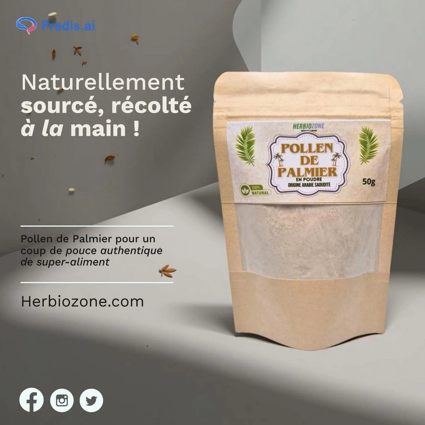 Pollen de palmier en poudre 1 kg, 100% naturel, origine Arabie Saoudite, emballage hermétique